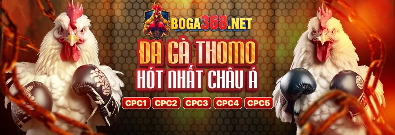 Hình ảnh banner blog Vin77722 - Nền tảng cá cược trực tuyến